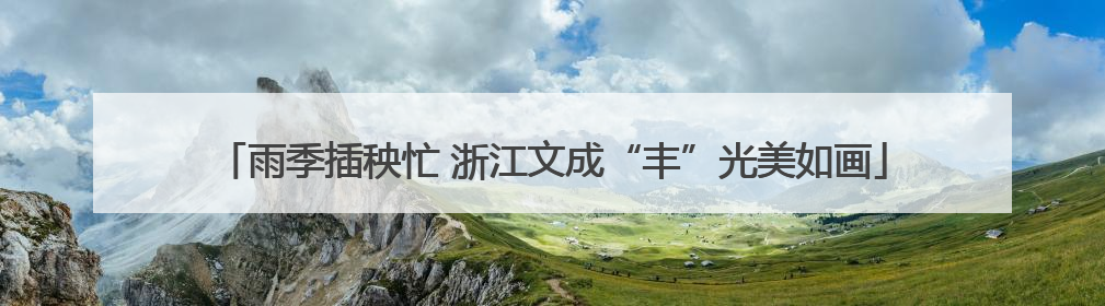 雨季插秧忙 浙江文成“丰”光美如画