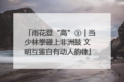 雨花登“高”③｜当少林拳碰上非洲鼓 文明互鉴自有动人韵律