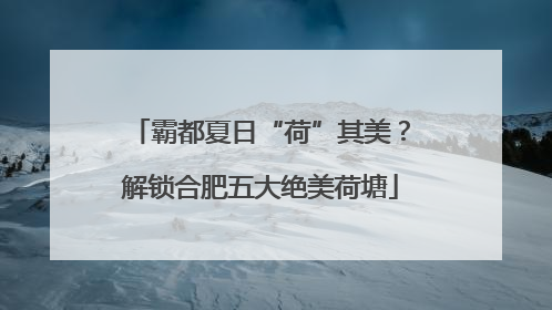 霸都夏日“荷”其美？解锁合肥五大绝美荷塘
