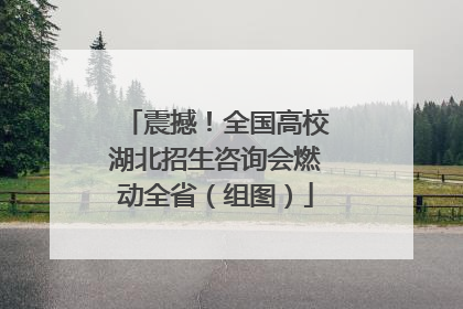震撼！全国高校湖北招生咨询会燃动全省（组图）