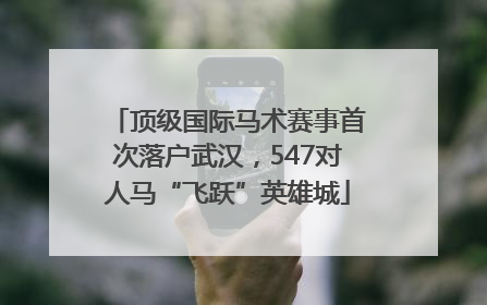 顶级国际马术赛事首次落户武汉，547对人马“飞跃”英雄城