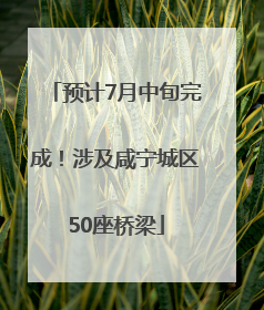 预计7月中旬完成！涉及咸宁城区50座桥梁