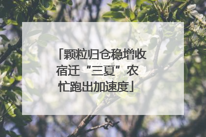 颗粒归仓稳增收 宿迁“三夏”农忙跑出加速度