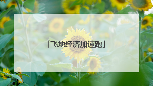 飞地经济加速跑