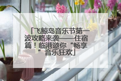 飞鲸岛音乐节第一波攻略来袭——住宿篇！临港邀你“畅享”音乐狂欢
