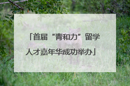 首届“青和力”留学人才嘉年华成功举办