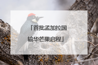 首批孟加拉国输华芒果启程