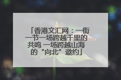 香港文汇网：一街一节一场跨越千里的共鸣 一场跨越山海的“向北”邀约