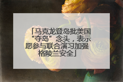 马克龙登岛批美国“夺岛”念头，表示愿参与联合演习加强格陵兰安全