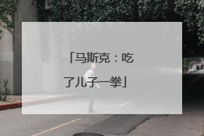 马斯克：吃了儿子一拳