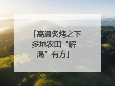 高温炙烤之下 多地农田“解渴”有方