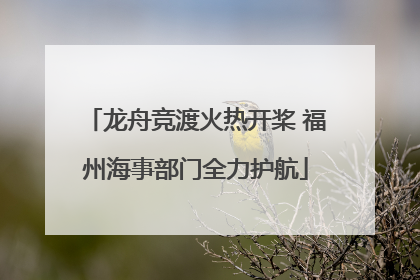 龙舟竞渡火热开桨 福州海事部门全力护航