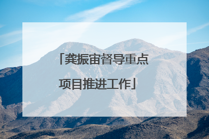 龚振宙督导重点项目推进工作