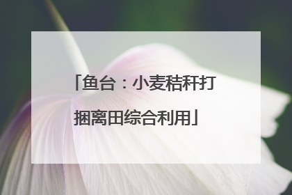 鱼台：小麦秸秆打捆离田综合利用