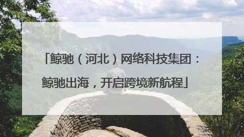 鲸驰（河北）网络科技集团：鲸驰出海，开启跨境新航程