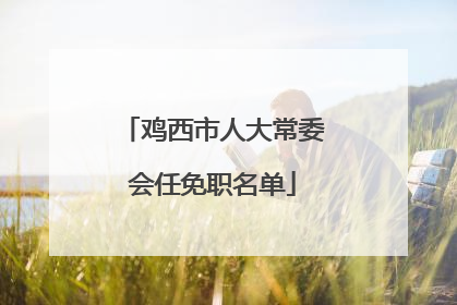 鸡西市人大常委会任免职名单