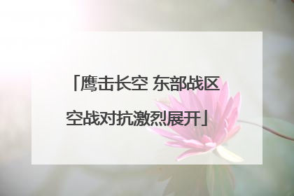 鹰击长空 东部战区空战对抗激烈展开