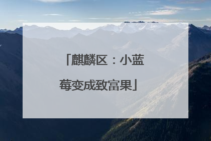 麒麟区：小蓝莓变成致富果
