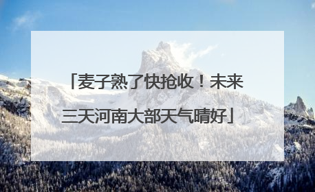 麦子熟了快抢收！未来三天河南大部天气晴好