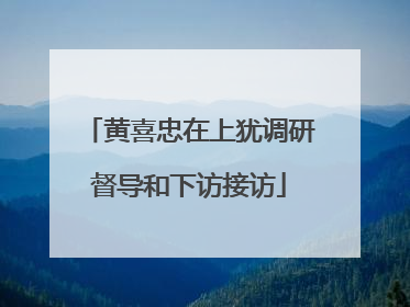 黄喜忠在上犹调研督导和下访接访