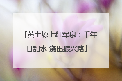 黄土塬上红军泉：千年甘甜水 浇出振兴路