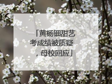 黄杨钿甜艺考成绩被质疑，母校回应