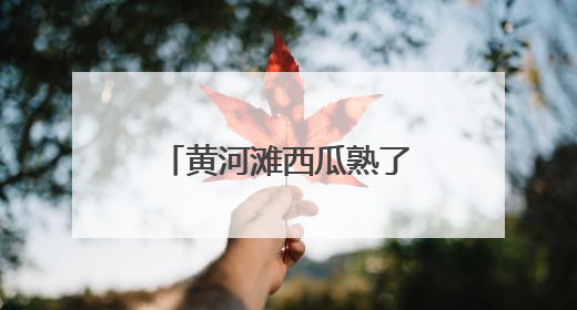 黄河滩西瓜熟了！梁山万余亩沙瓤瓜直达市民餐桌