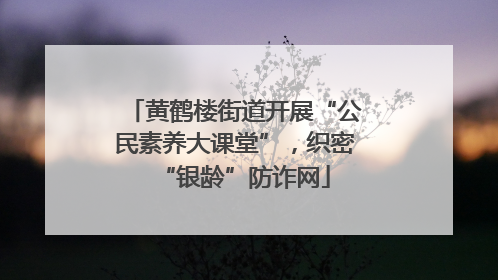 黄鹤楼街道开展“公民素养大课堂”，织密“银龄”防诈网