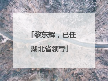 黎东辉，已任湖北省领导