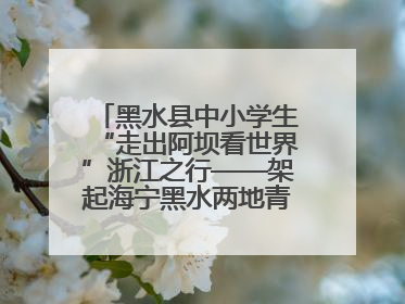 黑水县中小学生“走出阿坝看世界”浙江之行——架起海宁黑水两地青少年交往交流交融新桥梁
