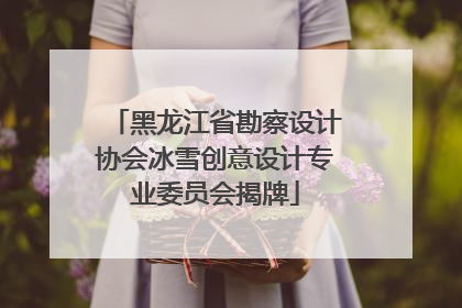 黑龙江省勘察设计协会冰雪创意设计专业委员会揭牌
