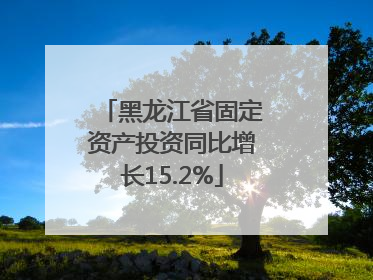 黑龙江省固定资产投资同比增长15.2%