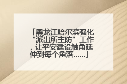 黑龙江哈尔滨强化“派出所主防”工作，让平安建设触角延伸到每个角落……