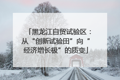 黑龙江自贸试验区：从“创新试验田”向“经济增长极”的质变