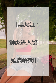 黑龙江：狮虎进入繁殖高峰期
