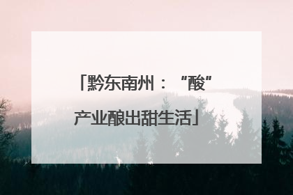 黔东南州：“酸”产业酿出甜生活