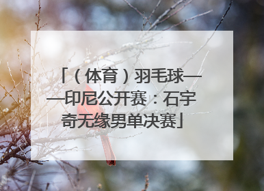 （体育）羽毛球——印尼公开赛：石宇奇无缘男单决赛