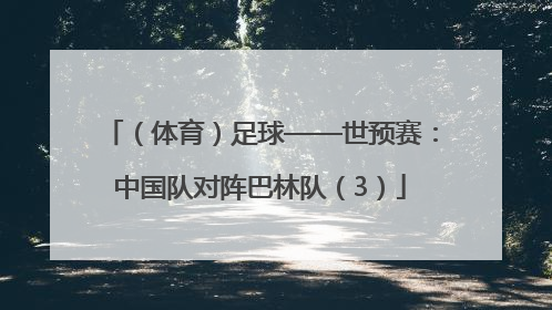 （体育）足球——世预赛：中国队对阵巴林队（3）