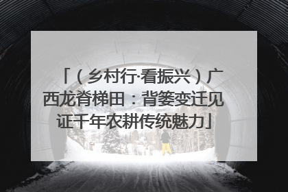 （乡村行·看振兴）广西龙脊梯田：背篓变迁见证千年农耕传统魅力