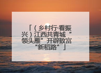 （乡村行·看振兴）江西共青城“领头雁”开辟致富“新稻路”