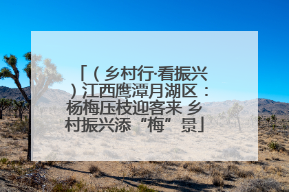（乡村行·看振兴）江西鹰潭月湖区：杨梅压枝迎客来 乡村振兴添“梅”景