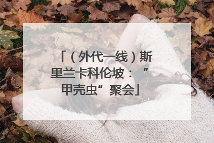 （外代一线）斯里兰卡科伦坡：“甲壳虫”聚会