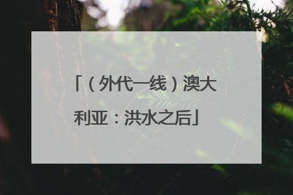 （外代一线）澳大利亚：洪水之后