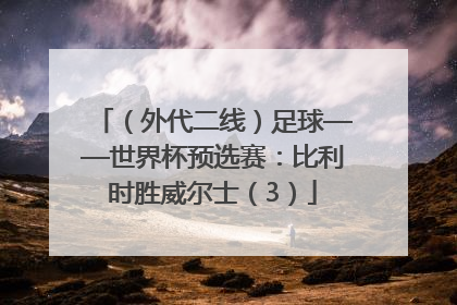 （外代二线）足球——世界杯预选赛：比利时胜威尔士（3）