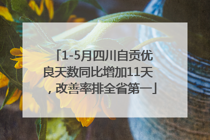 1-5月四川自贡优良天数同比增加11天，改善率排全省第一