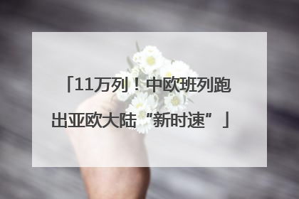11万列！中欧班列跑出亚欧大陆“新时速”