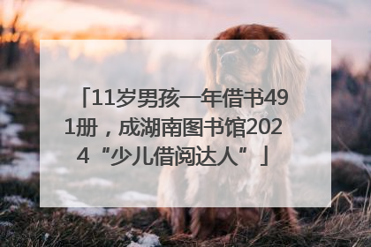 11岁男孩一年借书491册，成湖南图书馆2024“少儿借阅达人”