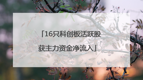 16只科创板活跃股获主力资金净流入