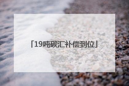 19吨碳汇补偿到位
