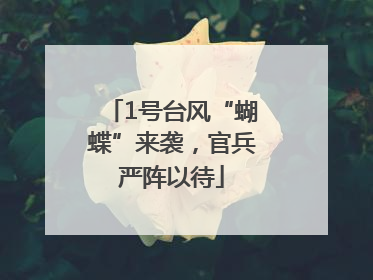 1号台风“蝴蝶”来袭，官兵严阵以待